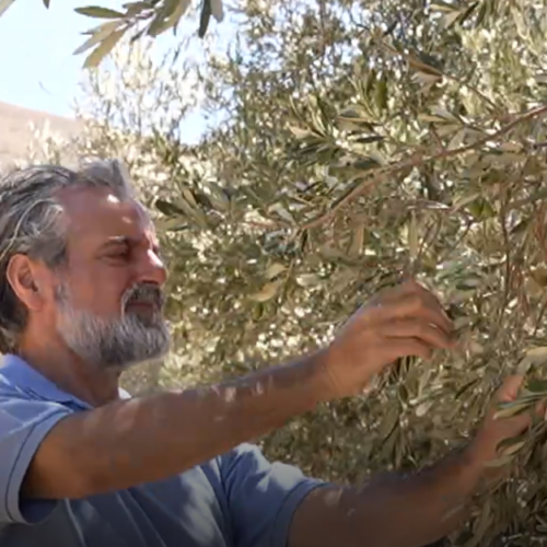 Η Θρούμπα Αμπαδιάς Ρεθύμνου Κρήτης ξανά στην «ΠΟΠ Μαγειρική» της ΕΡΤ – Η αυθεντική γεύση της Αμπαδιάς συνεχίζει το ταξίδι της